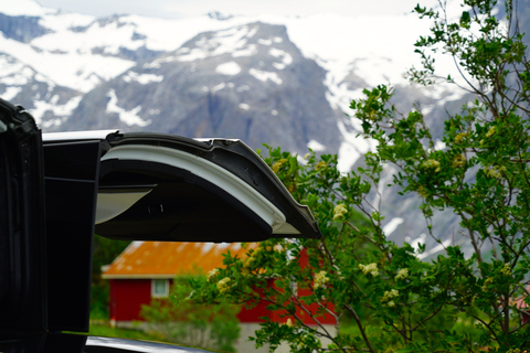 Tromsø: zwiedzanie fiordu luksusowym samochodem elektrycznym Tesla X.