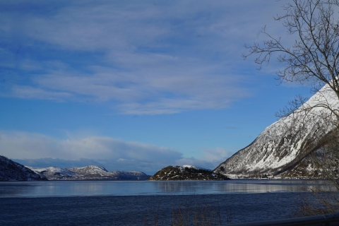Ab Tromsø: Fjord Sightseeing im Tesla X Luxus-Elektro-Auto