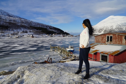 Ab Tromsø: Fjord Sightseeing im Tesla X Luxus-Elektro-Auto