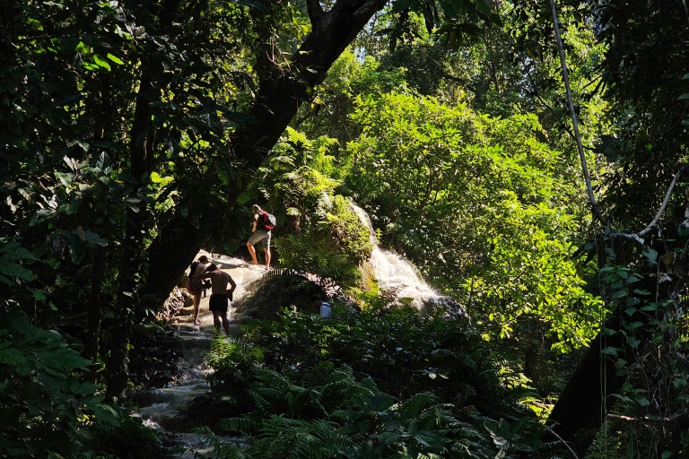 Chiang Mai: Sticky Waterfall Tour de medio día y traslados al hotel