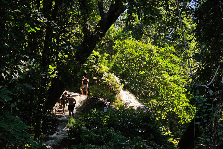 Chiang Mai: Tour di mezza giornata delle cascate Sticky e trasferimenti dall&#039;hotel