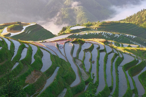 Guilin: In-Depth Longji Rice Terraces Day Trip with Lunch Group Tour