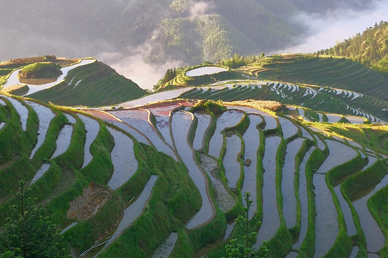 Guilin: In-Depth Longji Rice Terraces Day Trip with Lunch Group Tour