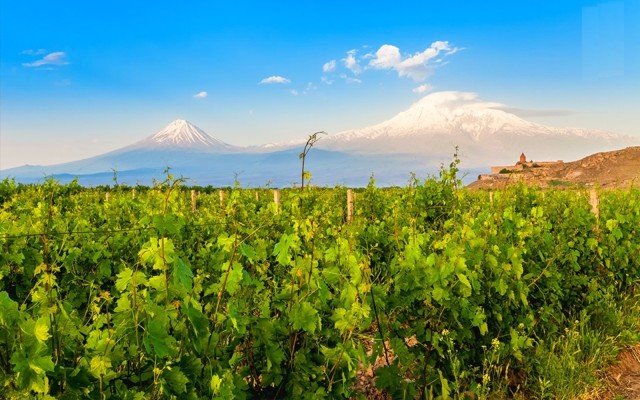 Visit Private Tour Khor Virap, Noravank, Areni Cave, & Winery in Yerevan, Armenia