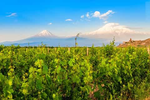 Private Tour: Khor Virap, Noravank, Areni Cave, & Winery