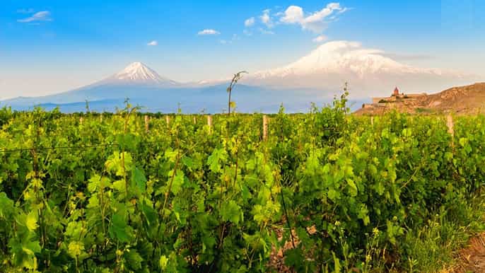 private tour khor virap noravank areni cave winery