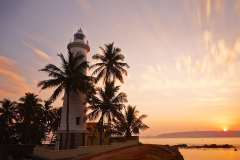Desde Negombo: Excursión privada de un día a la costa sur