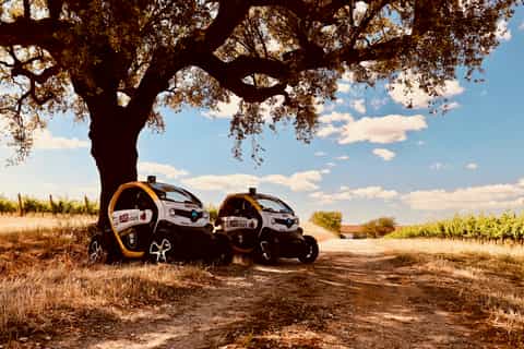Évora: 4-Hour Self-Drive Tour to Megalithic Monuments