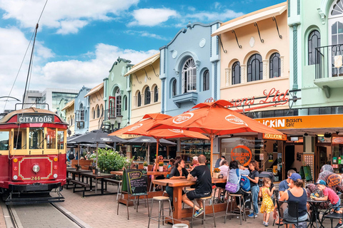 Auckland: 23-Day New Zealand Tour with Accommodation