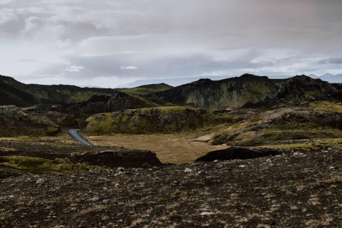 Reykjavik: Private Golden Circle i South Coast Tour