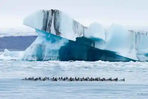 Privat rundtur i Jökulsárlón-glaciärlagunen