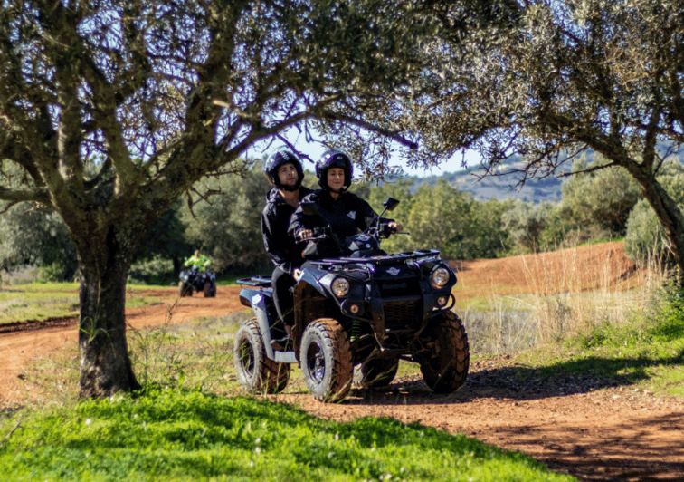 Desde Albufeira Excursión de medio día en quad todoterreno GetYourGuide