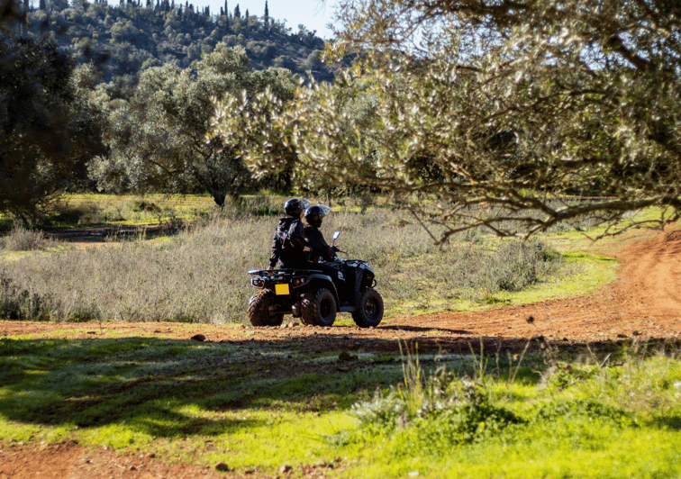 From Albufeira HalfDay OffRoad Quad Tour GetYourGuide