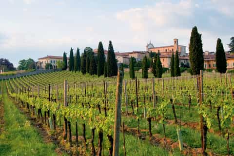 brescia franciacorta wine tasting tour with lunch
