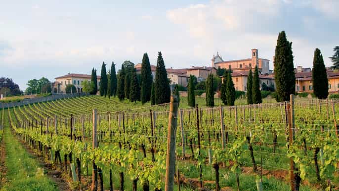 brescia franciacorta wine tasting tour with lunch