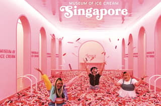 Eintrittskarte für das Museum of Ice Cream mit Hoteltransfer