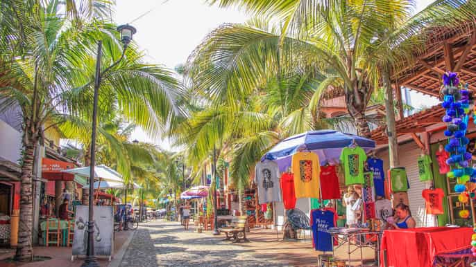 from nuevo vallarta sayulita and san pancho day trip