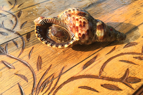Chania: Boat Cruise to Agioi Theodoroi and Lazaretta Island