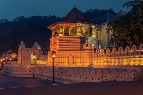 From Dambulla: Kandy Day TripOpcja standardowa