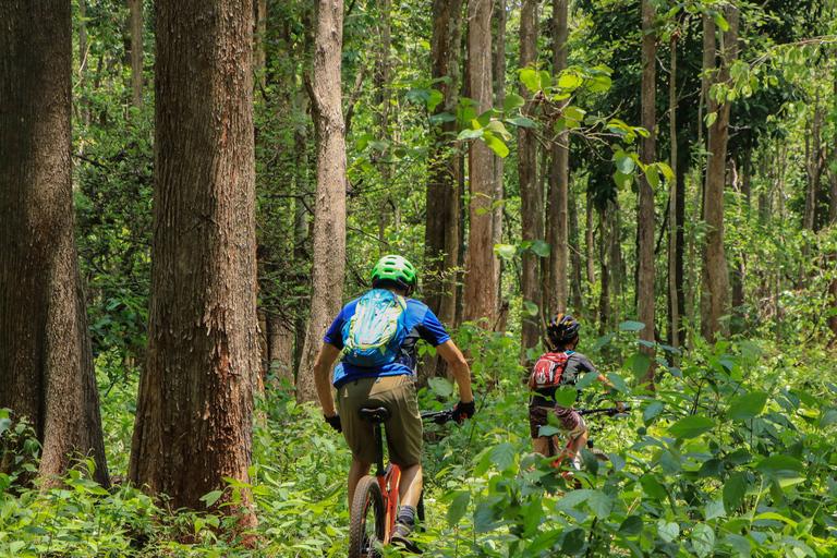 Chiang Mai: Boat Ride and Cycling Tour to Sticky Waterfall