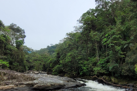 CAMINHO DO OURO - Guided tour Atlantic Forest, Waterfalls, Stories.