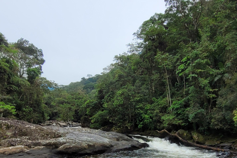 CAMINHO DO OURO - Geführte Tour durch den Atlantischen Wald, Wasserfälle und Geschichten.