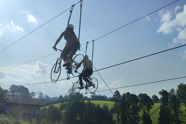 Nairobi: 1 dia de pura aventura de adrenalina no Quênia