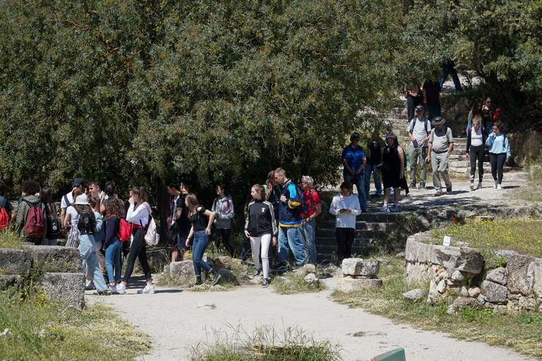 Athene: Oude Agora e-ticket & optionele audiotourToegangbewijs voor de oude Agora van Athene & Stadsrondleiding