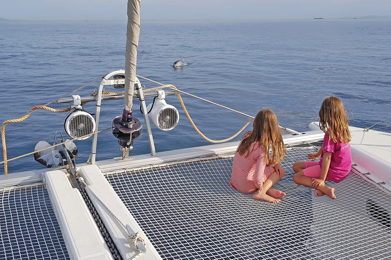 Riviera athénienne : croisière privée en catamaran d'une demi-journée