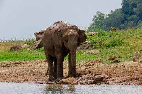 From Colombo: Private 2-Day Wildlife and World Heritage Tour