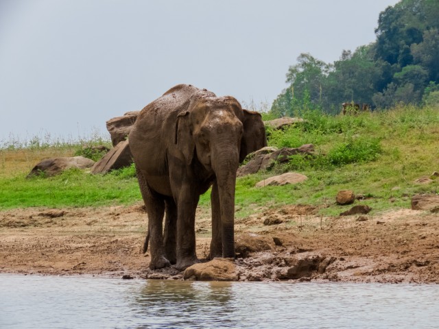 Van Colombo: privé tweedaagse natuur- en werelderfgoedtour