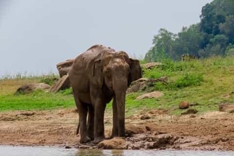 From Colombo: Private 2-Day Wildlife and World Heritage Tour