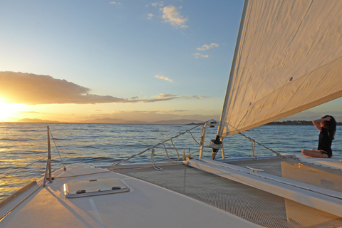 Riviera athénienne : croisière privée en catamaran d'une demi-journée