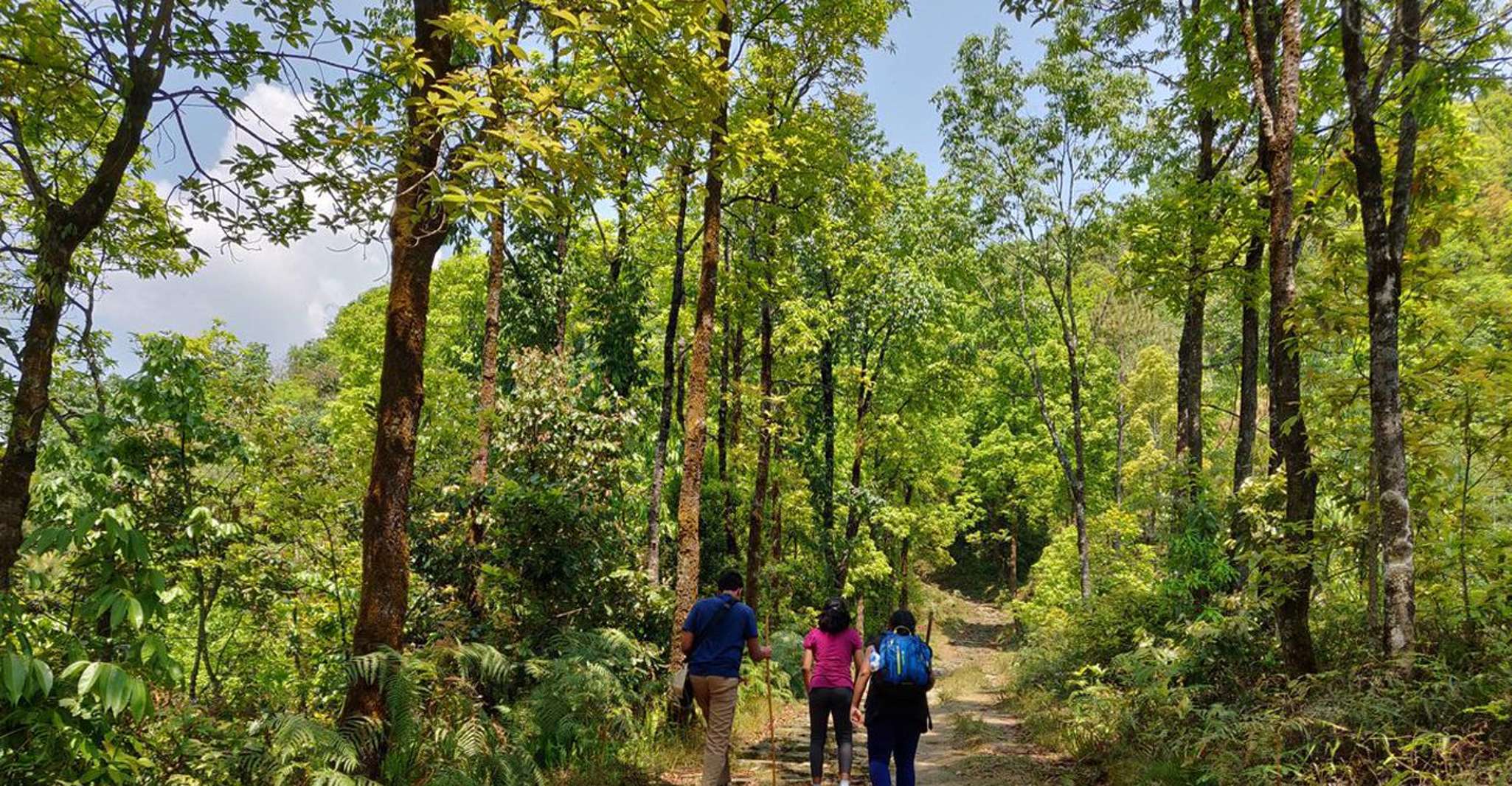 De Katmandú, Trek de 3 días a Nagarkot vía Chisapani - Hizvo