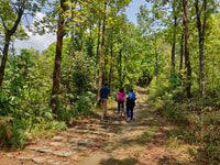 De Katmandú, Trek de 3 días a Nagarkot vía Chisapani - Hizvo