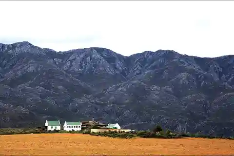 Oudtshoorn: Visita ao desfiladeiro de Swartberg com almoço tradicional