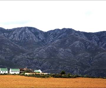 Oudtshoorn: Swartberg Mountain Pass Tour with Country Lunch