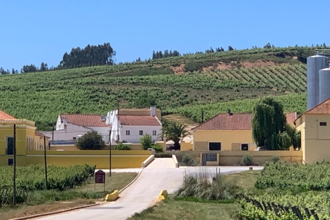 Weintour durch die Region Lissabon