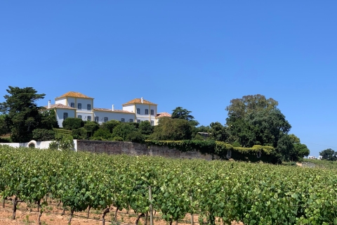 Wijntour door Lissabon