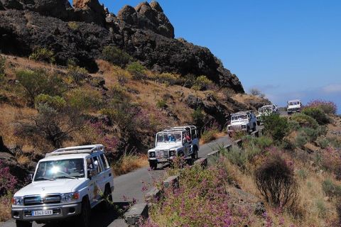 Gran Canaria: Excursão de um dia off-road com almoço opcional
