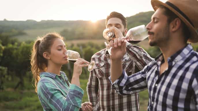 napa sonoma valley wine tour from san francisco