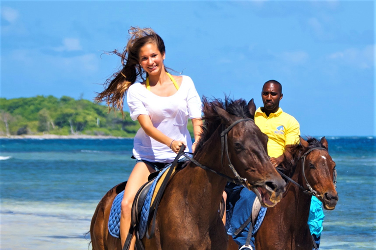 From Falmouth: Horseback Ride n Swim with Green Grotto Caves From Falmouth Cruise Port