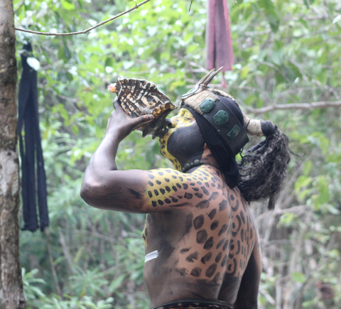Safaris & wildlife activities