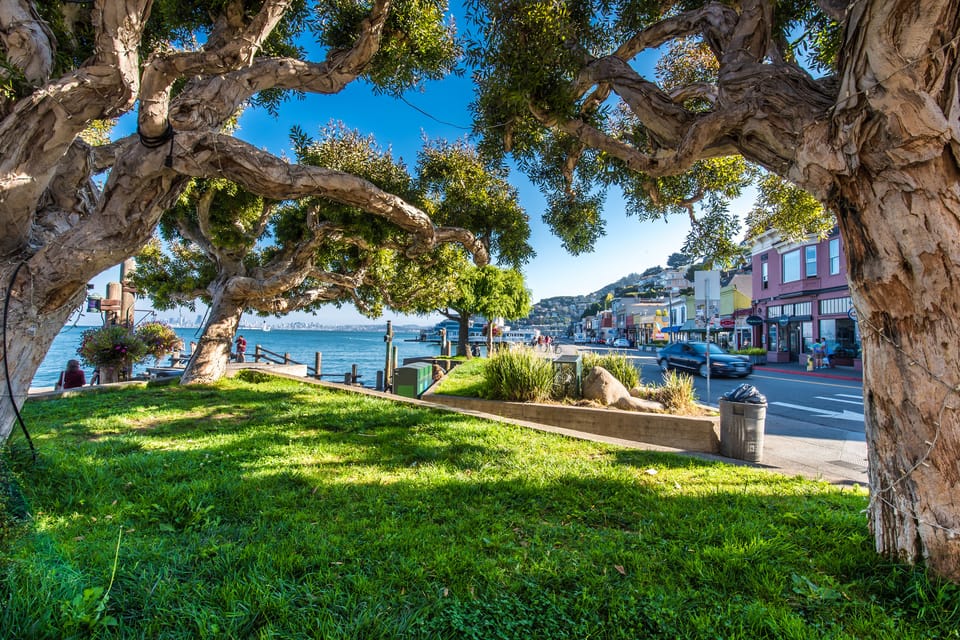 San Francisco: Muir Woods, San Francisco and Sausalito Tour image 3