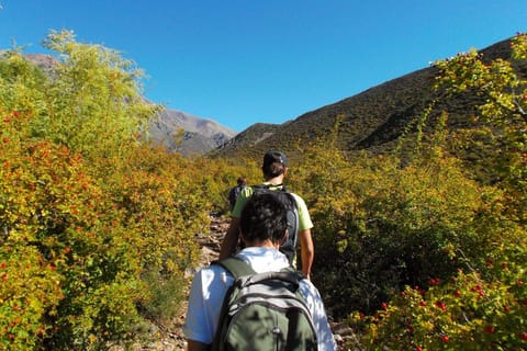 Mendoza: 4-Hour Mountain Trekking With Lunch