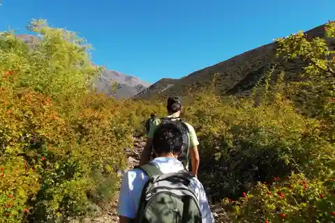 Mendoza: 4-Hour Mountain Trekking With Lunch