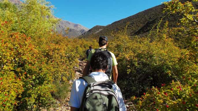 mendoza 5hour mountain trekking with lunch