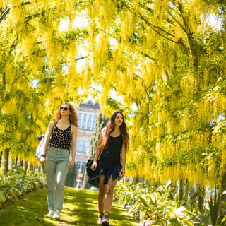 Dunedin: Larnach Castle and Gardens Admission Ticket