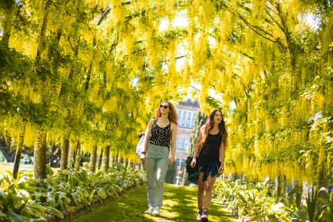 Dunedin: Larnach Castle and Gardens Admission Ticket
