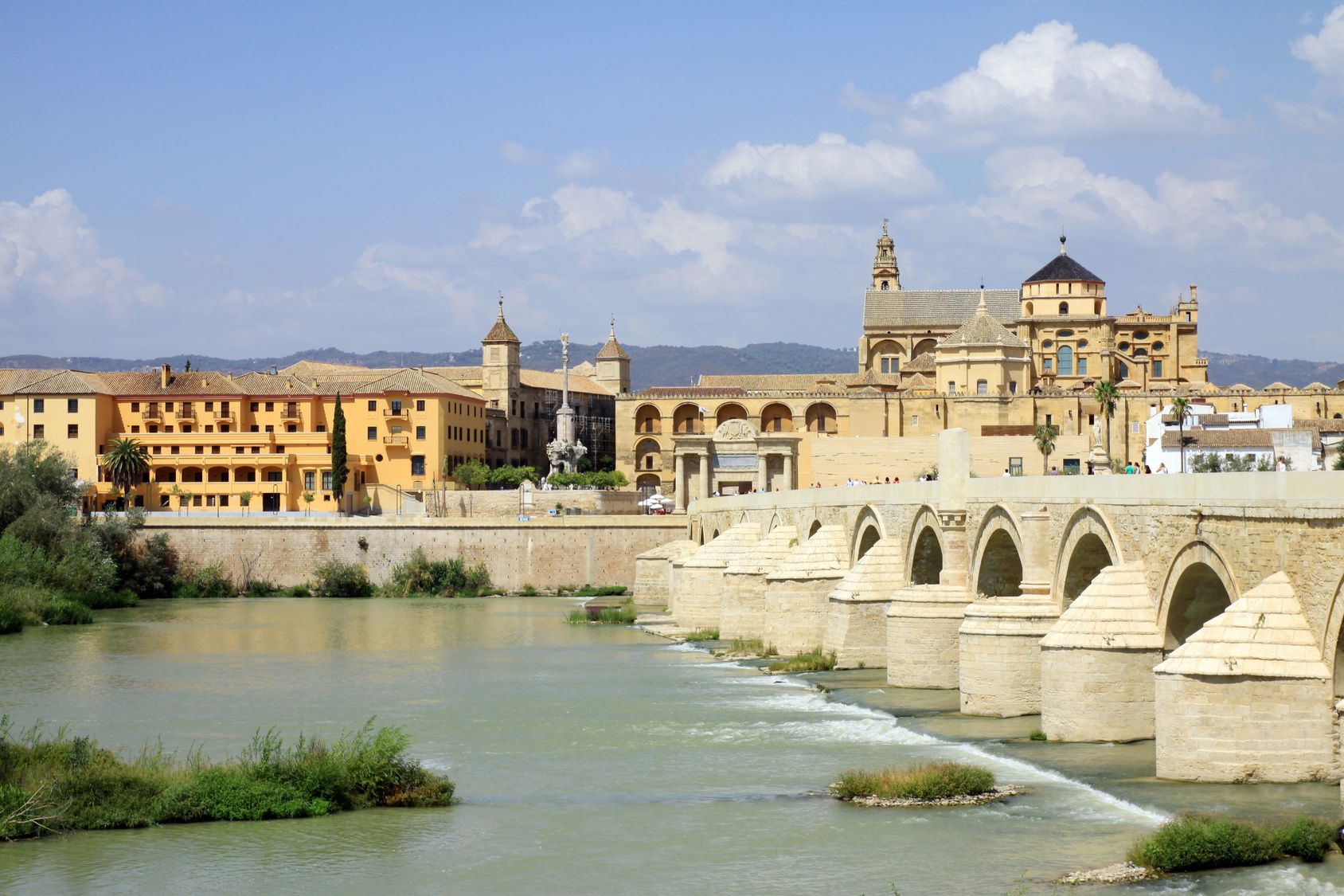 Von der Costa del Sol & Malaga: Geführte Tagestour nach Cordoba